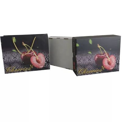 ROYAL Packing Kotak Kemasan Buah Mewah Bergelombang Dengan Tas