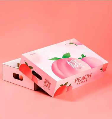 Kotak Kemasan Buah Papan Bergelombang Varnishing Apple Packing Boxes
