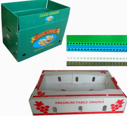 2400x1200 2440x1220 Kotak Sayur Buah Plastik Bergelombang