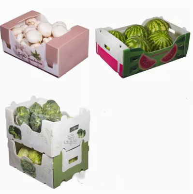 Kotak Kemasan Buah Sayur Plastik Bergelombang Pelindung Statis